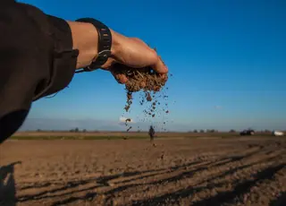 Озвучено особливості укладення договорів оренди землі на новий строк