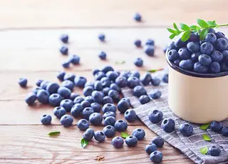 Українська лохина виходить на нові ринки завдяки кооперації фермерів