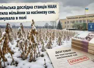 Тернопільська дослідна станція НААН заплатила мільйони за насіннєву сою, яка зимувала в полі