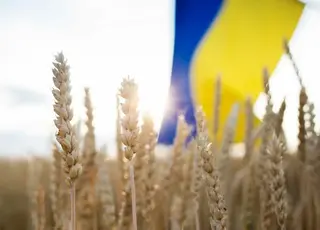 Куди йде українське зерно: нові лідери серед покупців