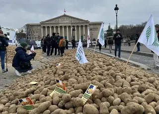 У Франції протестували виробники картоплі