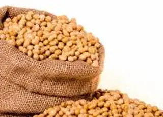 Ціни на українську сою можуть коливатися через нафту