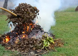 Чи можна палити гілки та сміття на подвір’ї: озвучено штрафи