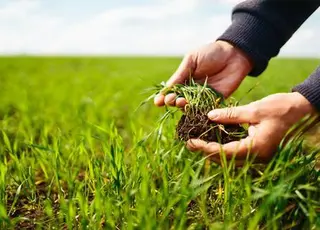 Ринок землі у 2025 р перейшов до стабільної та прогнозованої моделі розвитку