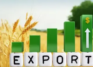 Україна у травні скоротила експорт агропродукції