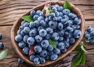 Три виробники лохини об’єднали експорт до Євросоюзу через єдину систему