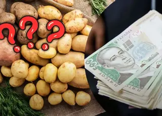 Стало відомо, як в Україні змінилися ціни на картоплю