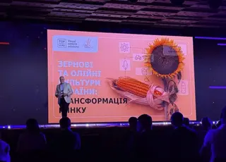 Зерновий і олійний ринок за 30 років: як Україна стала глобальним гравцем 