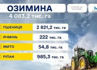 В Україні засіяли понад 4 млн га озимих культур: лідери за регіонами