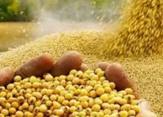 Bunge завершила придбання бізнесу IFF із виробництва соєвого протеїну та лецитину