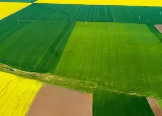 Як діяти, якщо вашу земельну ділянку обробляють без дозволу: покрокова інструкція