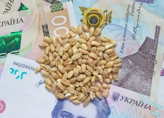 В Україні знизились ціни на пшеницю