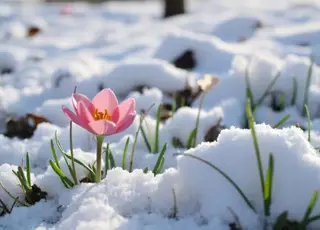 Чи буде тепло у березні: синоптики дали прогноз