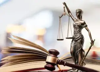 На Дніпропетровщині чоловіка засуджено за незаконну порубку лісу