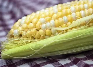 Досліди на кукурудзі показали різницю оптимальних норм азоту у 30 кг між вологим та посушливим роками