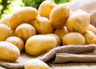 Україна щороку втрачає мільярд гривень на картоплі