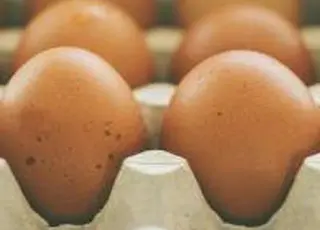 Українські яйця викликали скандал у Британії: імпорт зростає на тлі кризи ринку