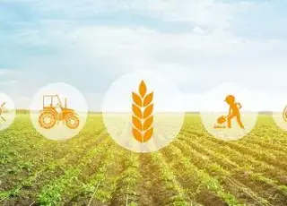 Фермерів Дніпропетровщини підтримають грантами до $3000