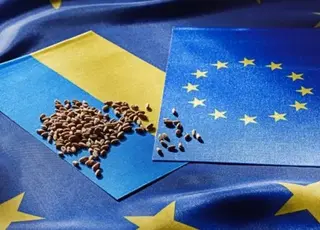 ЄС оновив торговельну угоду з Україною: скасування мит на агропродукцію