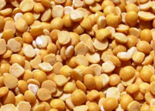 Український агроекспорт шукає нові ринки: у Дубаї запущено платформу FOODAGRO MEETUP