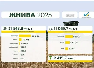 В Україні зібрали понад 31,5 млн тонн зернових і зернобобових культур