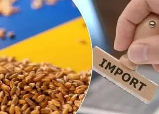Україна збільшила імпорт агропродукції