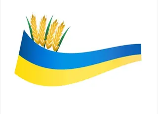 Україна експортувала 95% пшениці за меморандумом у 2024/25 маркетинговому році