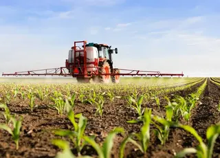 Новинка для підвищення дії гербіцидного контролю