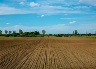 В українців заберуть землю, яку вони не приватизували