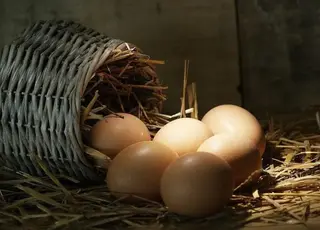 Стало відомо, як змінилися ціни на яйця в Україні