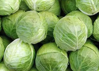 Озвучено оновлені ціни на капусту в Україні