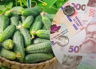 Озвучено оновлені ціни на огірки в Україні