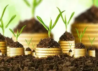 Держгеокадастр повідомив про індексацію нормативної грошової оцінки земель за 2025 р