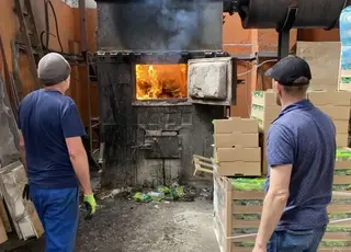 У Києві знищили імпортний салат з Італії через зараження квітковим трипсом