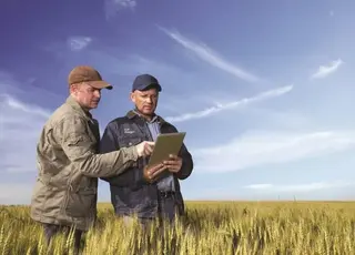 Як збільшити продажі: експерт пояснив психологію фермерських продажів