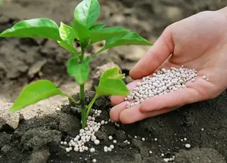 В Україні різке подорожчання карбаміду зупинило попит