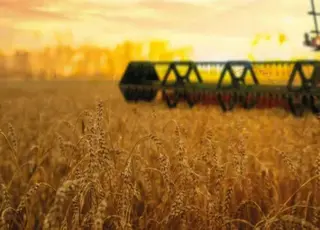 Українські аграрії розпочали збір врожаю