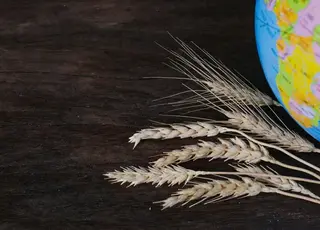 Три країни ЄС блокують імпорт агропродукції з України
