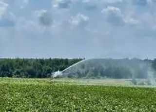 Уряд виділив 197 млн грн на підтримку агровиробників на зрошуваних землях у 2025 році