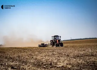 На Одещині триває сильна ґрунтова посуха
