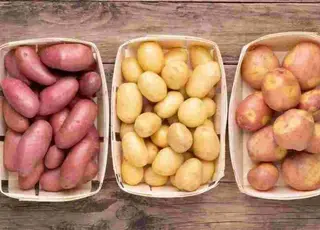 Названо 5 найсмачніших і найврожайніших сортів картоплі для щедрого врожаю