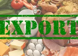 Україна експортувала продовольства на $11,2 млрд у першому півріччі 2025 року