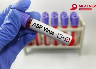 Україна активізує роботу в системі стримування АЧС через спалахи в Іспанії
