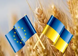 Агроспільнота України презентувала Спільну позицію щодо умов євроінтеграції агросектору до ЄС