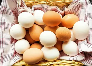 За 8 місяців Україна експортувала майже 1,4 млрд шт яєць