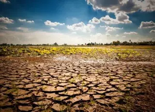 Аграрії Херсонщини зазнають мільярдних втрат через посуху та війну