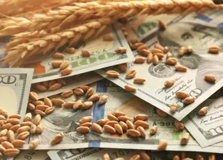 В Україні стабілізувалися ціни на пшеницю