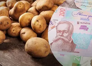 Озвучено оновлені ціни на картоплю в Україні