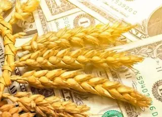 Ціни на яблука в Україні у 2025 році: чому дешевих фруктів більше не буде