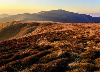 На Закарпатті АРМА почала перевірку результатів продажу землі на Боржаві